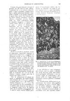 giornale/UM10003065/1925/unico/00000169