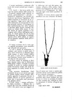 giornale/UM10003065/1925/unico/00000175