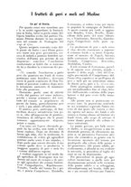 giornale/UM10003065/1925/unico/00000231