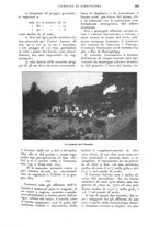 giornale/UM10003065/1925/unico/00000319