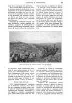 giornale/UM10003065/1925/unico/00000361