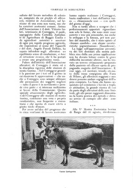 L'Italia agricola