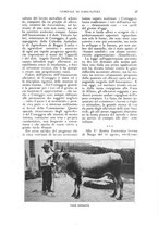 giornale/UM10003065/1926/unico/00000043