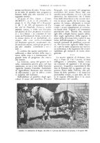giornale/UM10003065/1926/unico/00000045