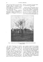 giornale/UM10003065/1926/unico/00000080