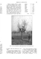giornale/UM10003065/1926/unico/00000081
