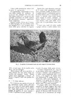 giornale/UM10003065/1926/unico/00000111
