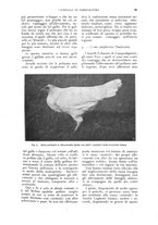 giornale/UM10003065/1926/unico/00000113