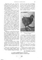 giornale/UM10003065/1926/unico/00000115