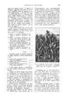 giornale/UM10003065/1926/unico/00000147