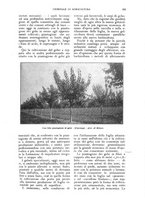 giornale/UM10003065/1926/unico/00000223