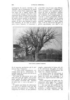 giornale/UM10003065/1926/unico/00000224