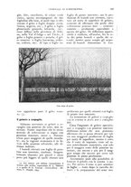 giornale/UM10003065/1926/unico/00000227