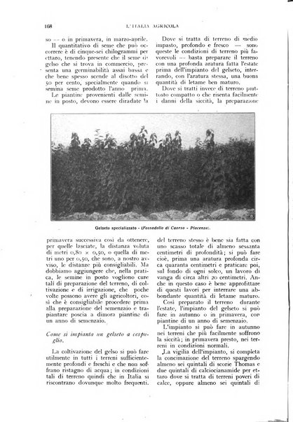 L'Italia agricola