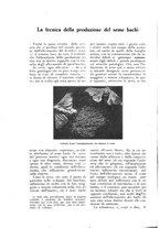 giornale/UM10003065/1926/unico/00000230
