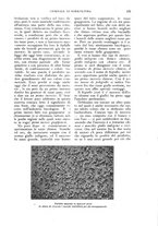 giornale/UM10003065/1926/unico/00000235