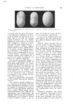 giornale/UM10003065/1926/unico/00000241