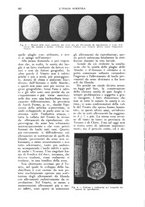 giornale/UM10003065/1926/unico/00000242