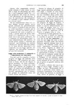 giornale/UM10003065/1926/unico/00000245