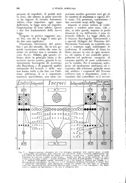 L'Italia agricola