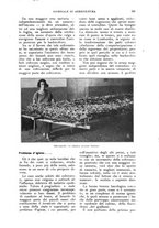 giornale/UM10003065/1926/unico/00000251