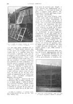 giornale/UM10003065/1926/unico/00000260