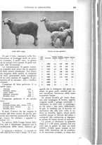 giornale/UM10003065/1926/unico/00000307