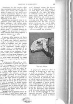 giornale/UM10003065/1926/unico/00000309