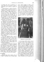 giornale/UM10003065/1926/unico/00000311