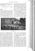 giornale/UM10003065/1926/unico/00000313
