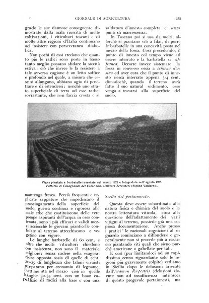 L'Italia agricola