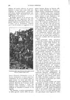 giornale/UM10003065/1926/unico/00000328