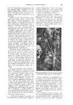 giornale/UM10003065/1926/unico/00000329