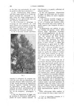giornale/UM10003065/1926/unico/00000354