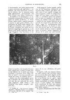 giornale/UM10003065/1926/unico/00000355