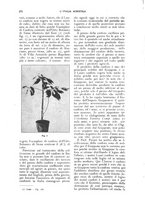 giornale/UM10003065/1926/unico/00000356