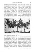 giornale/UM10003065/1926/unico/00000357