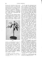 giornale/UM10003065/1926/unico/00000360