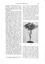 giornale/UM10003065/1926/unico/00000361
