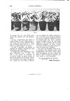 giornale/UM10003065/1926/unico/00000362