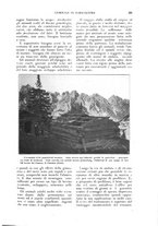 giornale/UM10003065/1926/unico/00000377