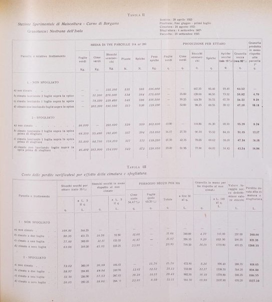 L'Italia agricola