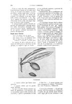 giornale/UM10003065/1926/unico/00000486