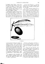 giornale/UM10003065/1926/unico/00000487