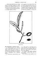 giornale/UM10003065/1926/unico/00000491