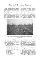 giornale/UM10003065/1926/unico/00000495