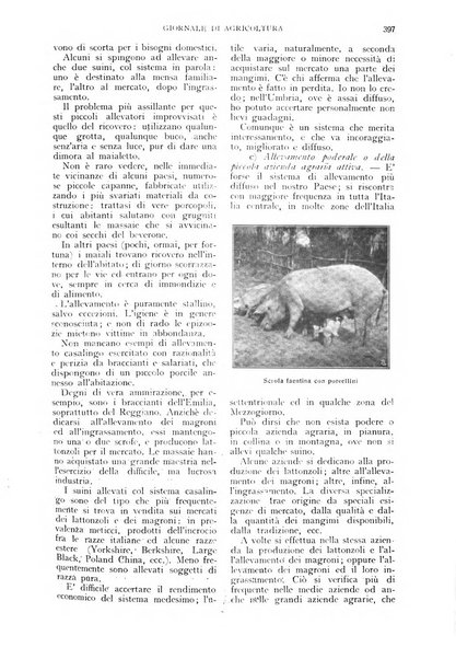 L'Italia agricola