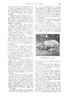 giornale/UM10003065/1926/unico/00000525