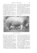 giornale/UM10003065/1926/unico/00000529