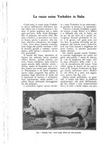 giornale/UM10003065/1926/unico/00000534